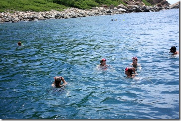 IMG_3584 IMG_3584