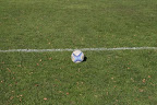 RCDwingeloo/De Wrotters - Alkmaar (29-0) 2011-10-23