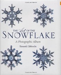 [snowflake-the-art-of6.jpg]