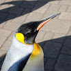 hokkaido_311.jpg