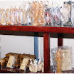 TYF-Summit-2011-126.jpg