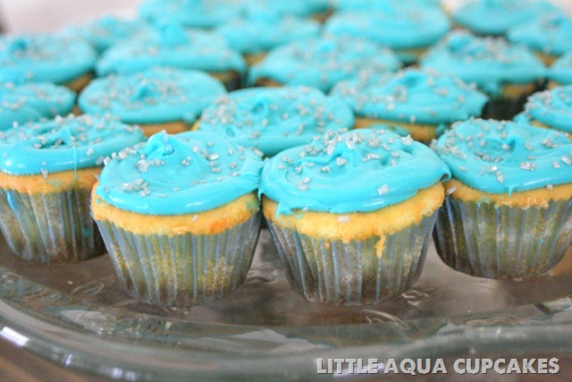 [aqua%2520mini%2520cupcakes%255B12%255D.jpg]