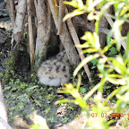 DSCN9510.JPG