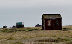dungeness sept 2011 032 dungeness sept 2011 032