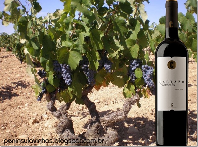 castano-collecion-yecla-peninsula-vinhos