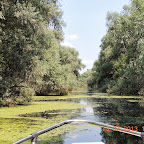 DSCN2939.JPG