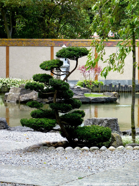 arbusto-jardin-japones.JPG