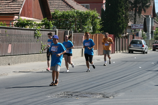 tomegfutas_2013_6570.jpg