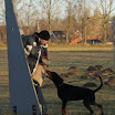 DSC09149.JPG