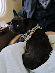 I usually like to find a cozy lap to snuggle in.