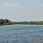 DSCN8164.JPG