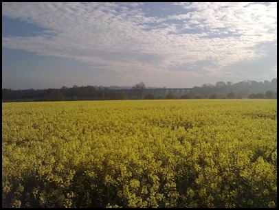 A early walk