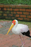 IMG_8336.jpg