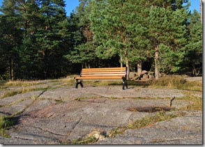 Tur i skogen sept 11 082