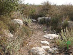 p1238559457(11).jpg