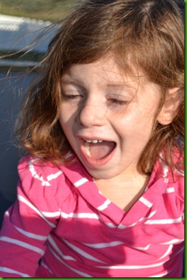 DSC_0018 DSC_0018