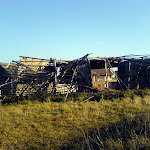 dsc00739.jpg