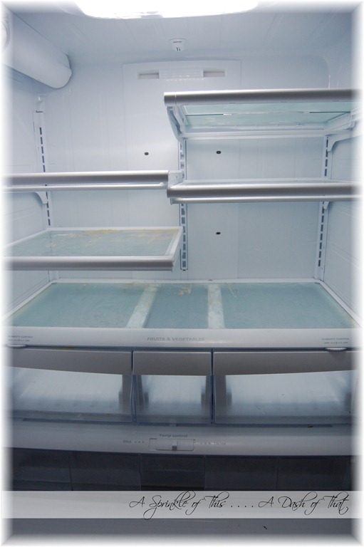 [fridge%2520before%2520cleaning%2520%257BA%2520Sprinkle%2520of%2520This%2520.%2520.%2520.%2520.%2520A%2520Dash%2520of%2520That%257D%255B4%255D.jpg]