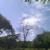 After the rainy season