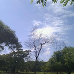 After the rainy season