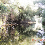 DSCN4481.JPG