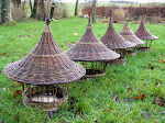 Fuglehuse