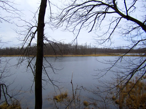 Twin lakes free of ice. Bullhead and Island also free of ice. Little Sugarbush remains 95%  covered