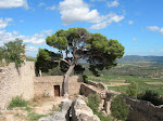 Castellas
