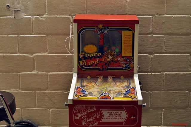 Flipperconvention120