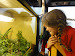 DSC02596.JPG