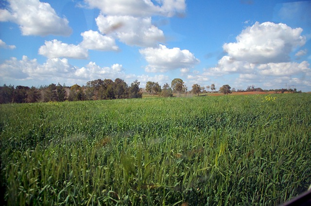 [DSC_0416a%255B3%255D.jpg]