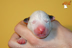 Girl 2 - day 1