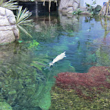 Moody Gardens