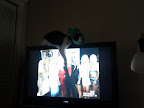 IMG_20110904_174156.jpg