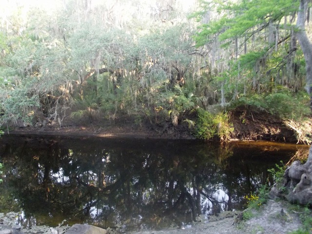 [Site40LithiaSprings0053.jpg]