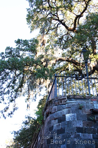 [IMG_8668%2520copy%255B6%255D.jpg]