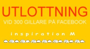 UTLOTTNING300 UTLOTTNING300