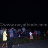 crocodile at nayathode 2.JPG