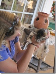 IMG_1629 IMG_1629