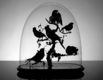 [ontothe6-e12625569223584.jpg]