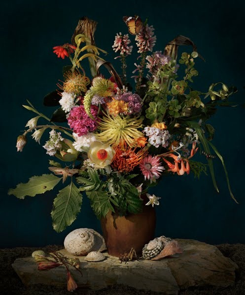 [flora6%255B5%255D.jpg]