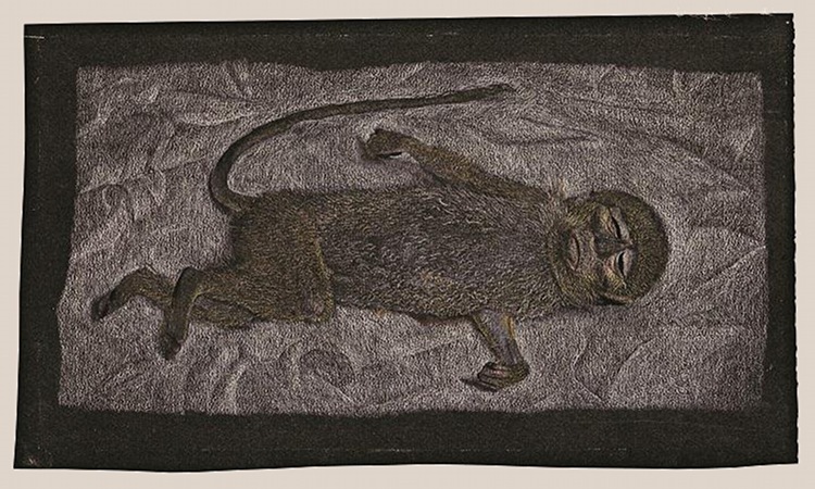 [Lucian%2520Freud%2520-%2520Dead%2520Monkey%255B6%255D.jpg]
