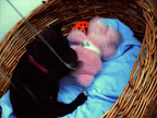 DSCF0882.JPG