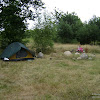 dsc03740.jpg