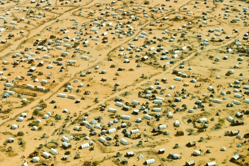 info_camp