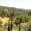 DSC00713.JPG