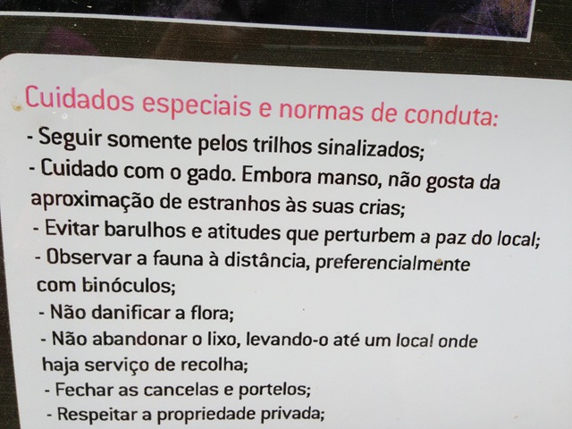 [1563.jpg]