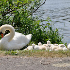 DSC_9815.jpg