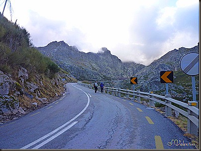 P1140442 P1140442