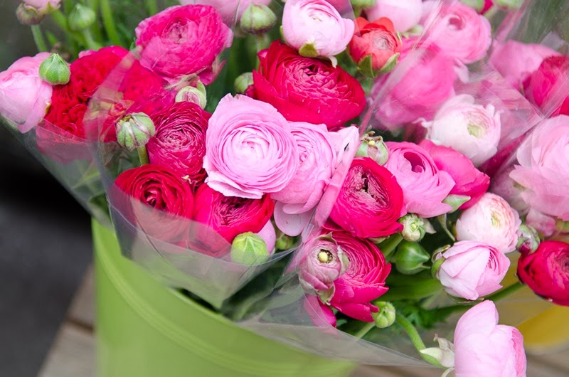 [Annecy%2520Morning%2520Blog-38%255B3%255D.jpg]